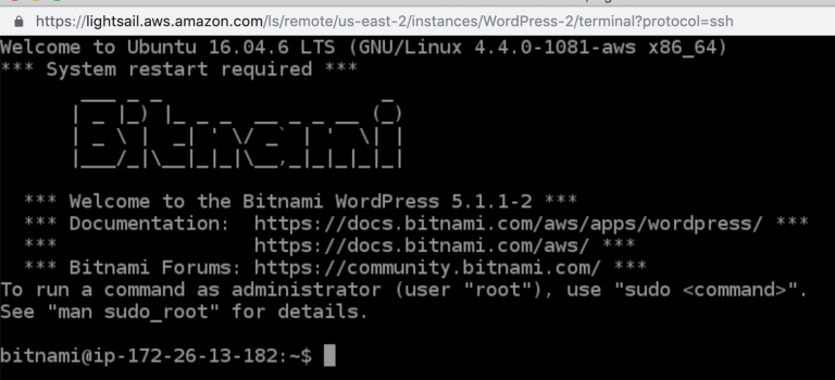 "SSH terminal interface for Bitnami WordPress on AWS Lightsail showcasing welcome message and command prompt"